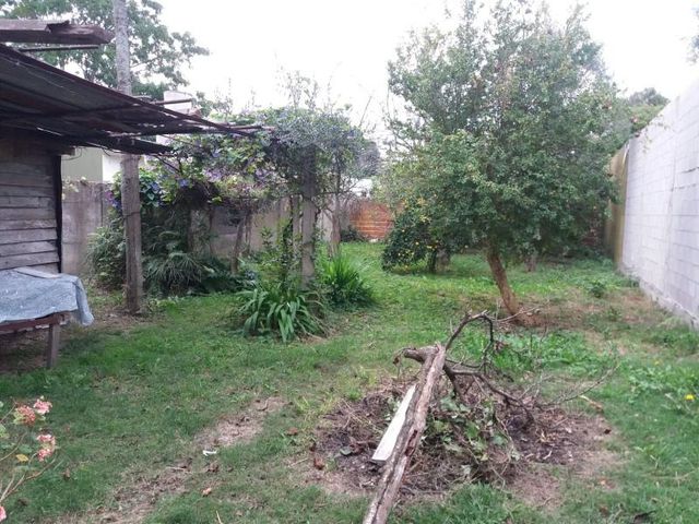 place photo 14