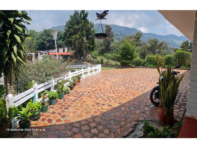 place photo 8