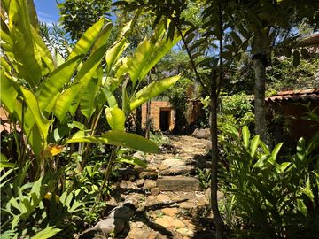 place photo 43