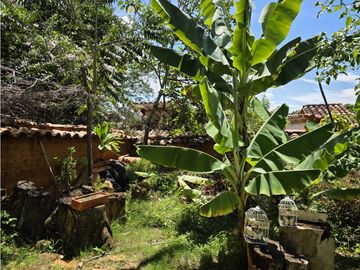 place photo 45