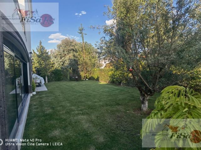 place photo 47