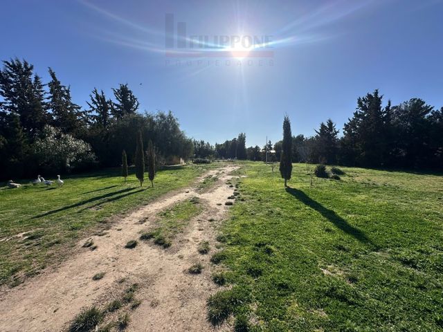 place photo 14