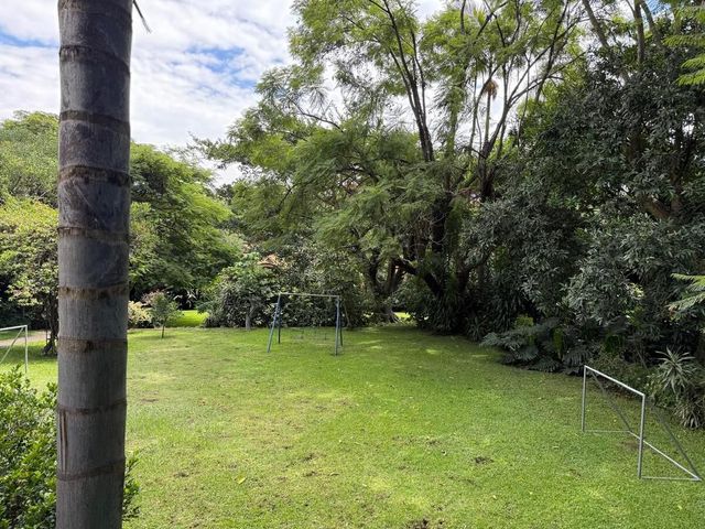 place photo 37