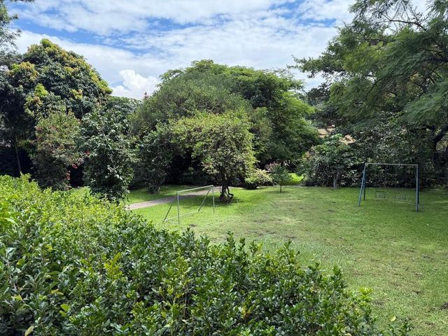 place photo 39