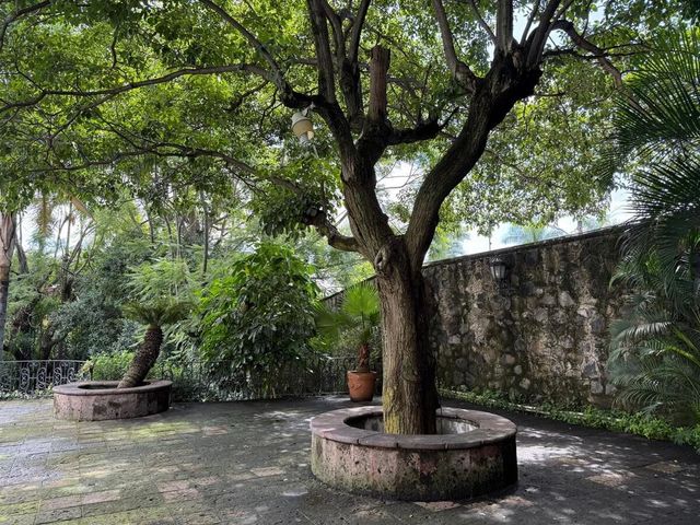 place photo 38