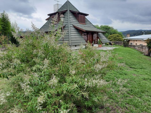 place photo 61