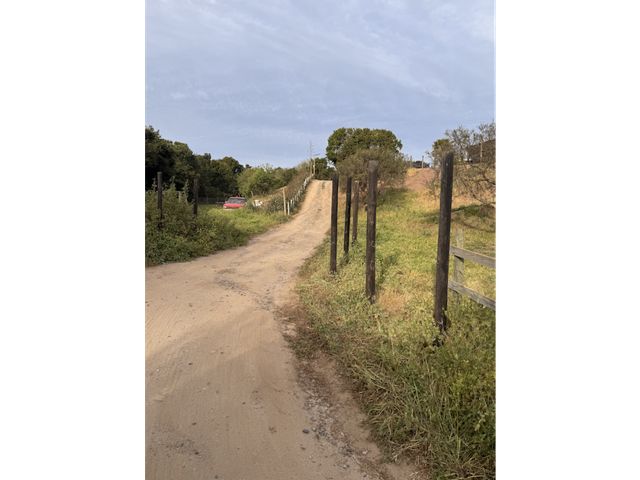 place photo 23