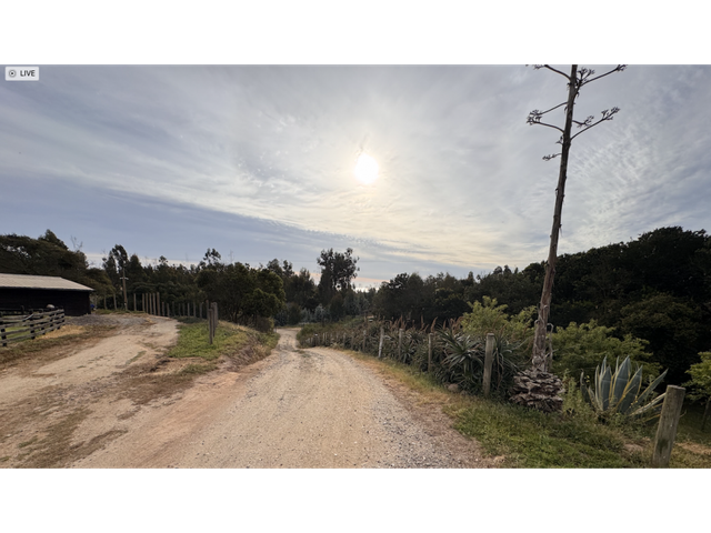 place photo 25