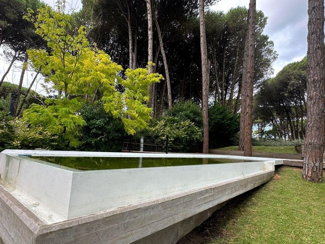 place photo 48