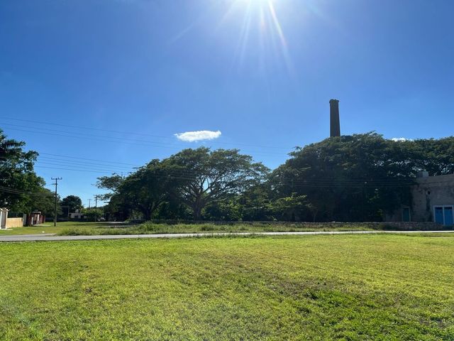 place photo 21