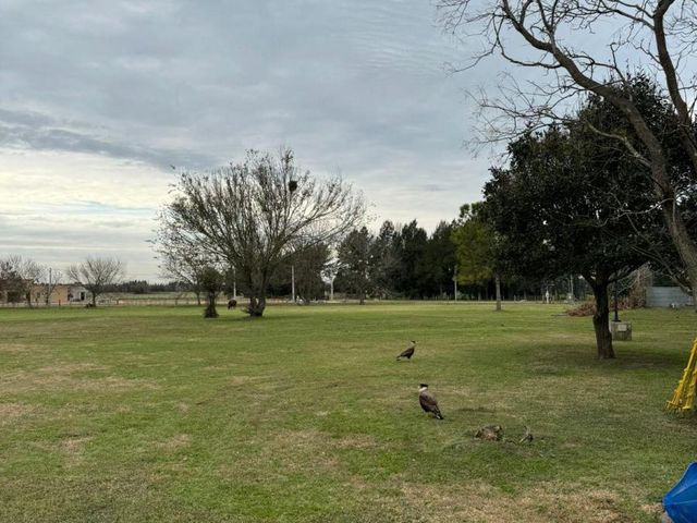 place photo 21