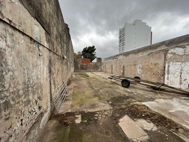 place photo 19