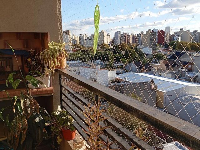 place photo 15