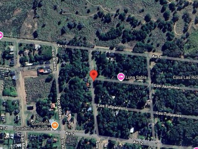 place photo 16