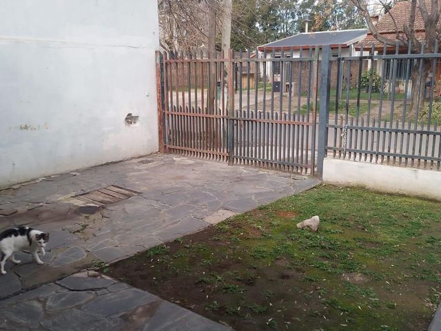 place photo 16