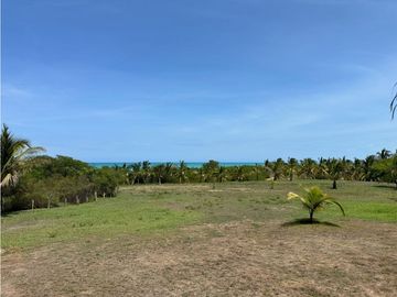 place photo 42