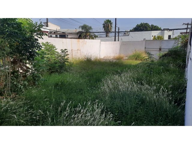 place photo 17