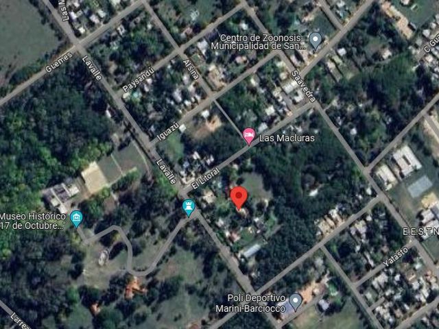 place photo 11
