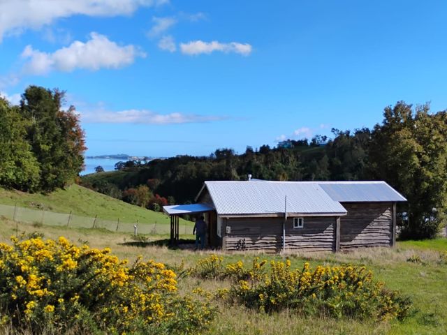 place photo 36