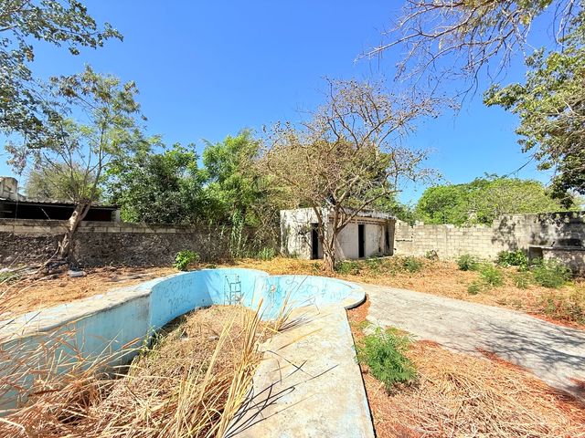 place photo 12