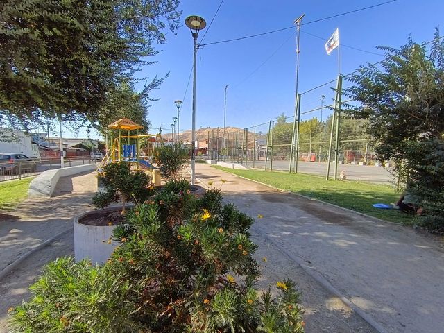 place photo 16