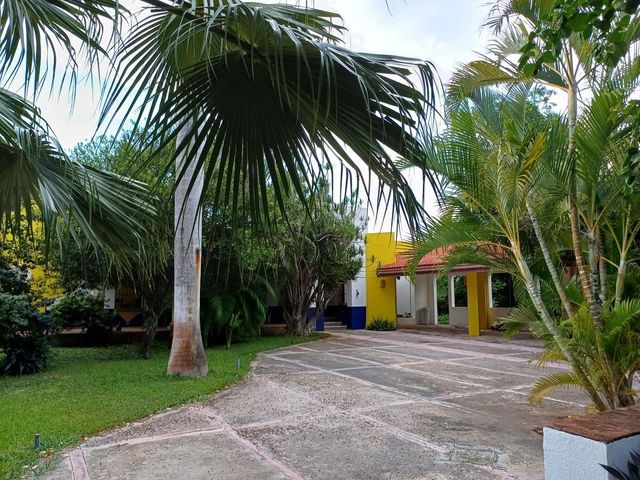 place photo 21