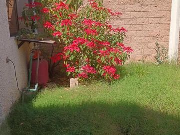 place photo 37