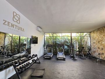 place photo 29
