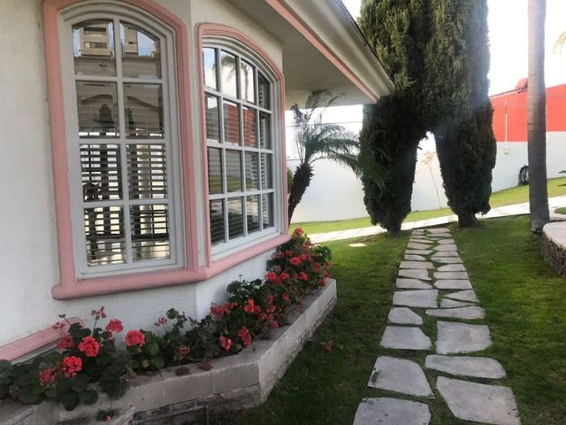 place photo 37