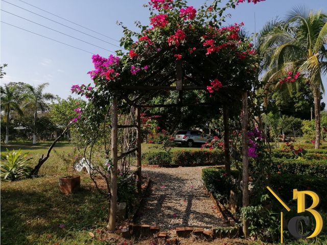 place photo 44
