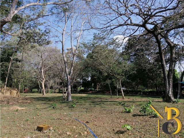 place photo 43