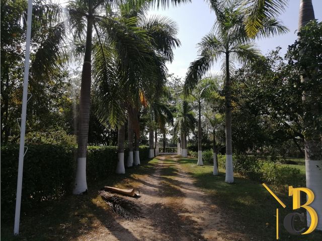 place photo 45