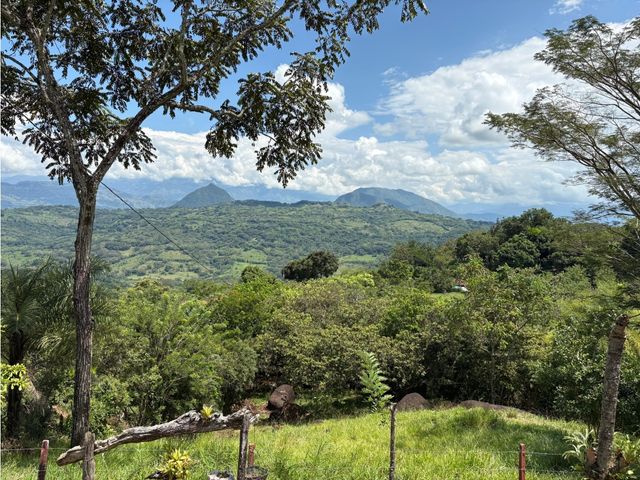 place photo 41
