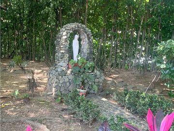 place photo 38