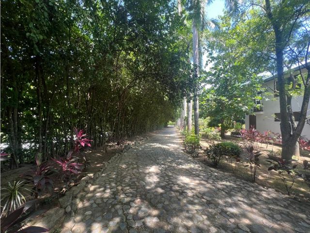 place photo 42
