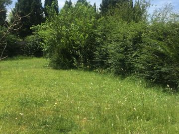 place photo 26