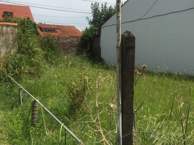 place photo 24