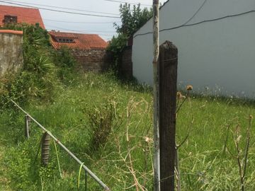 place photo 24