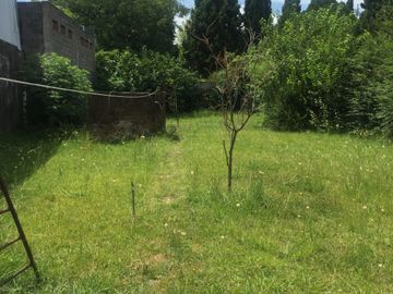 place photo 27