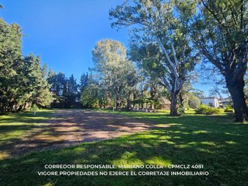 place photo 69