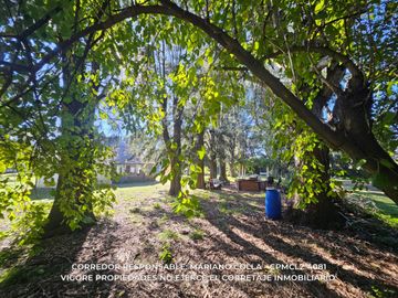 place photo 66