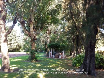 place photo 46