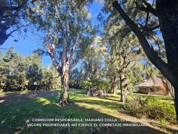 place photo 71