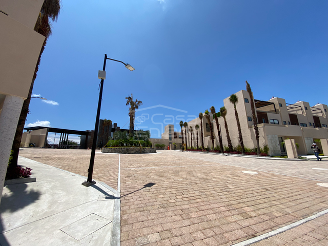 place photo 35