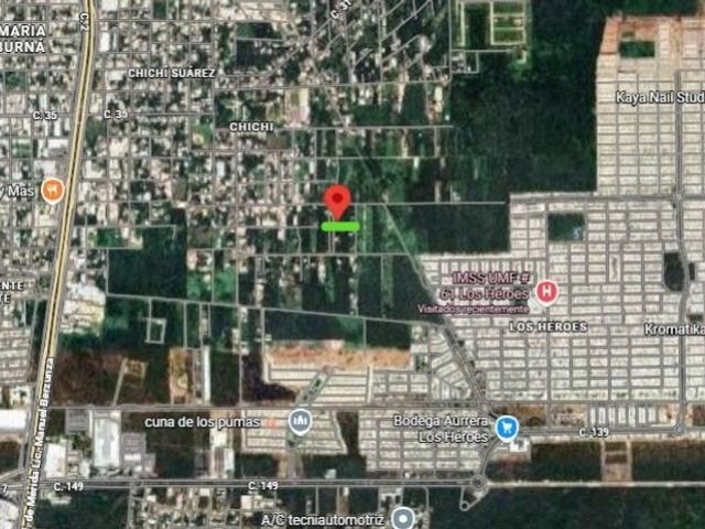 place photo 6