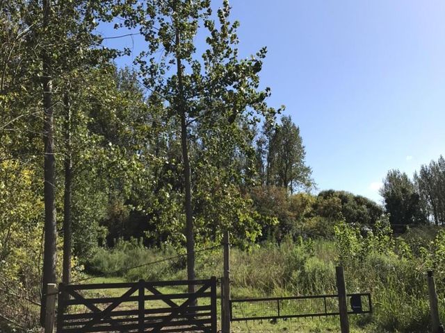 place photo 35