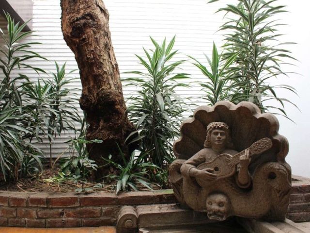 place photo 22