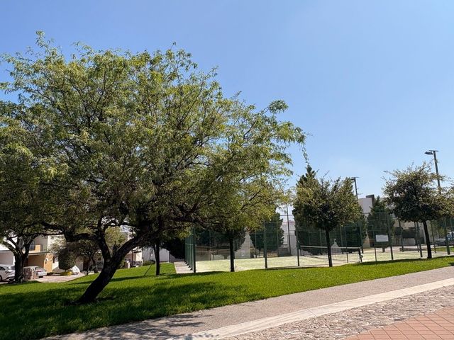 place photo 23