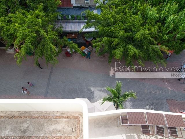 place photo 42