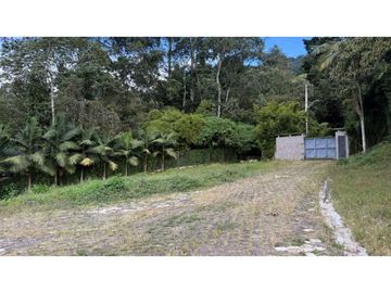 place photo 60